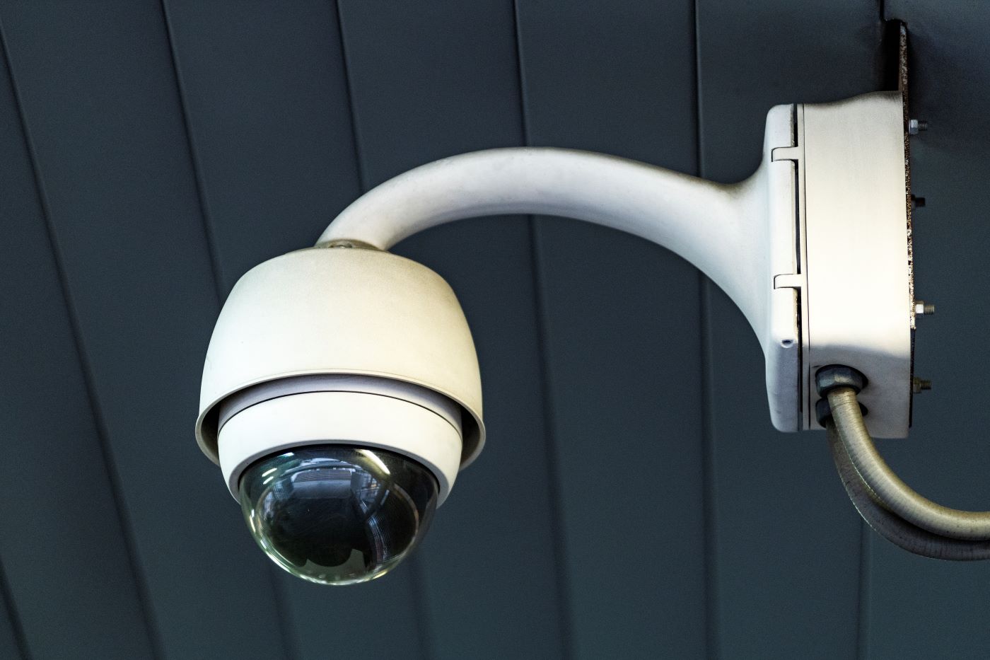 Odak Güvenlik | AXIS P9106-V IP Kamerası Serisi
